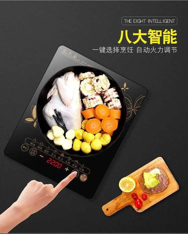 2200 Вт домашняя Сенсорная панель Hotpot 12 В 24 постоянного тока 2 индукционные