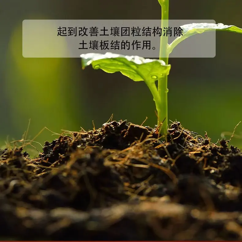 Bacillus Subtilis Microbial Agent for Potted Flowers and Green Plants Soil Loosening Fine Soil Fertilizer Product Genre Peat