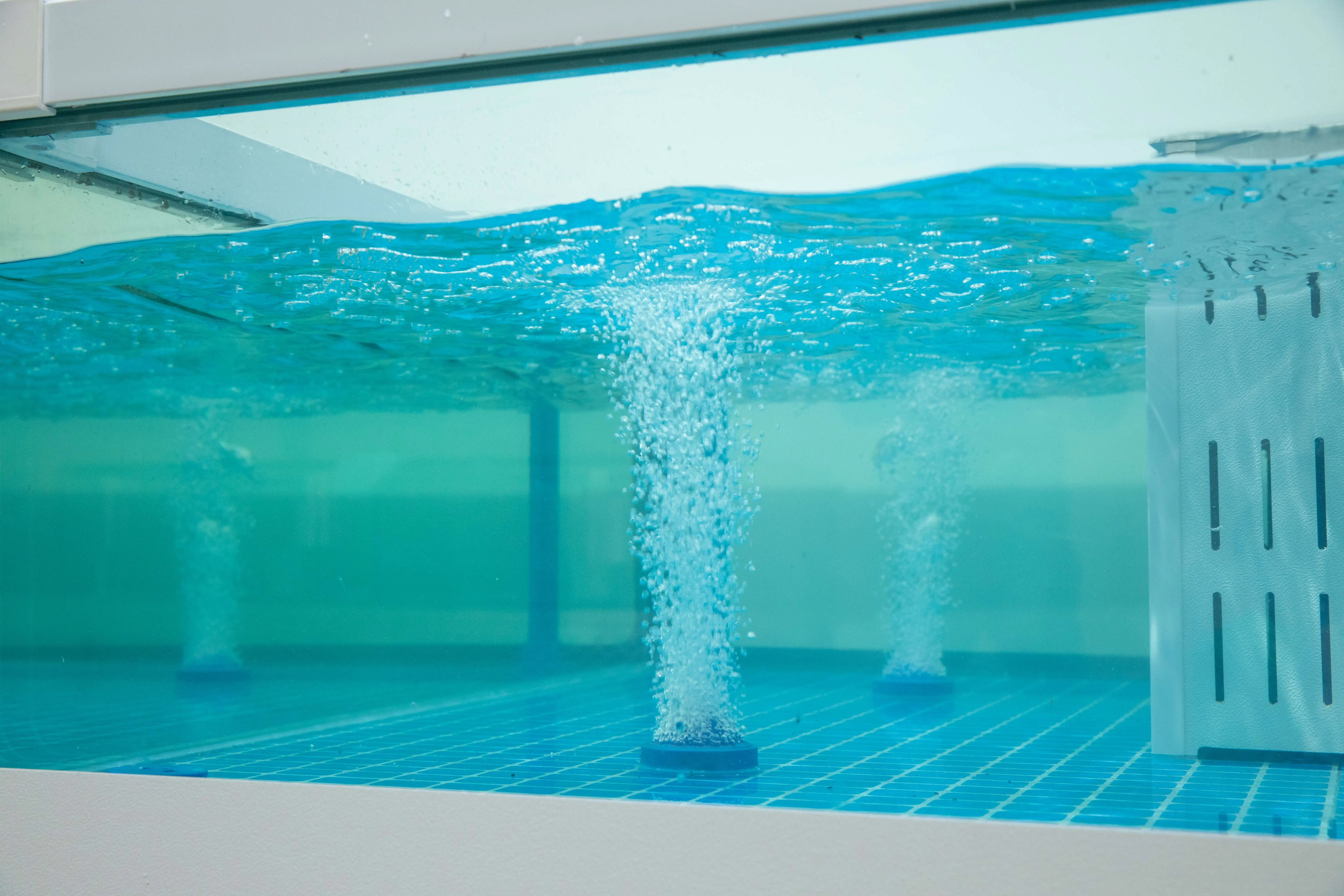 Supermarket or Restaurant Seafood  Lobster Tilapia Crab Live Fish Tank for sale