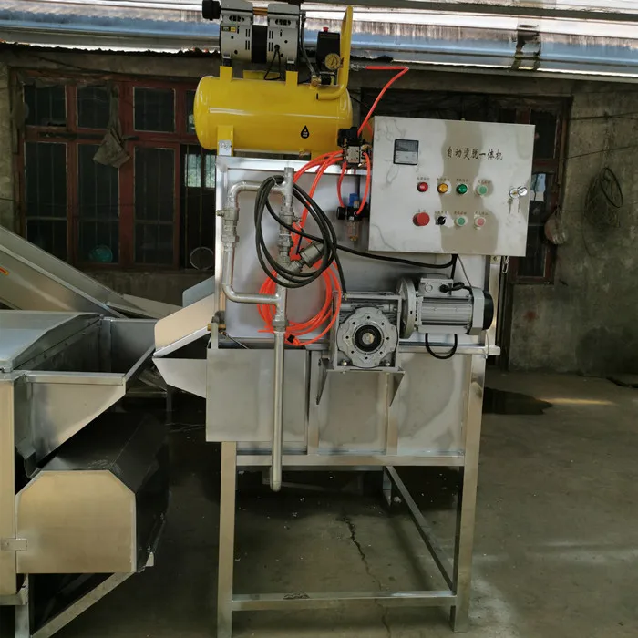 Commercial Turkey Slaughter Machine Small chicken cleaning machine plucker