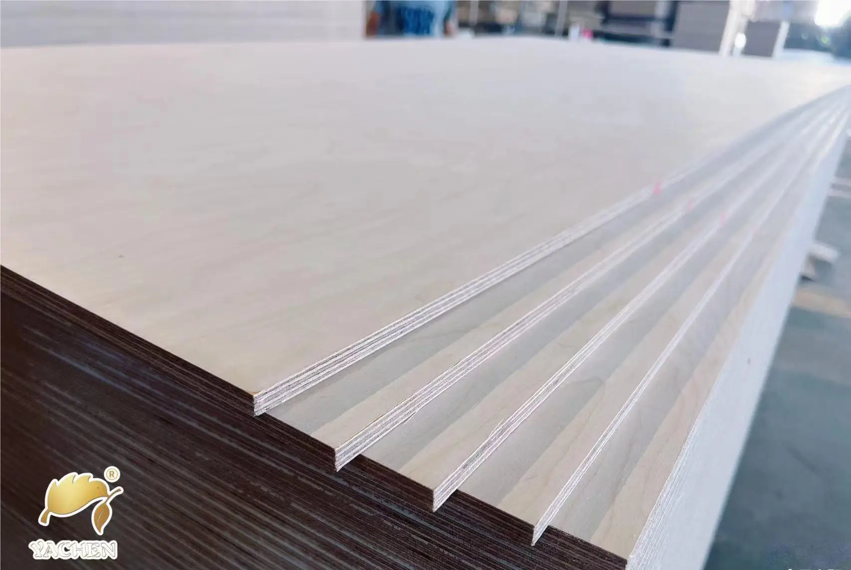 4x8 plywood birch 3mm 8mm 12mm 18mm