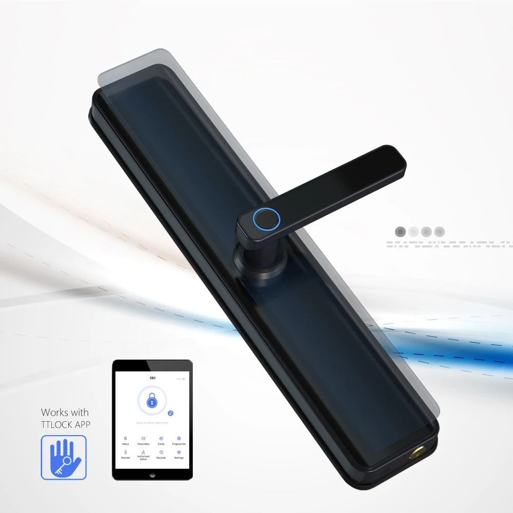 Eseye Ttlock Hot Sell Keyless Password RFID Card Lock Biometric Fingerprint Smart Door Lock with Ttlock app