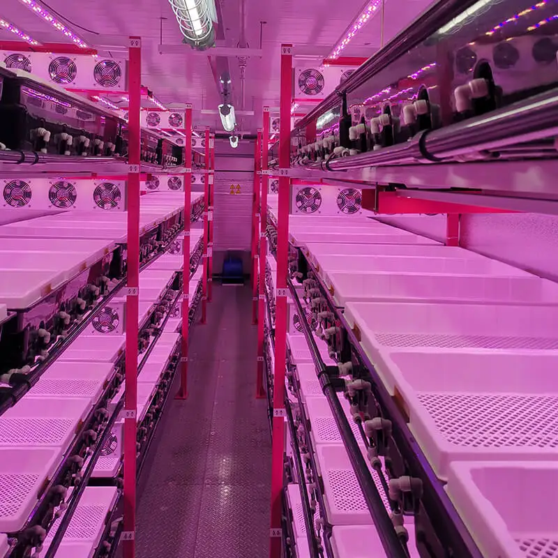 best choice hydroponic shipping container farm for lettuce, leafy greens, microgreen and herbs