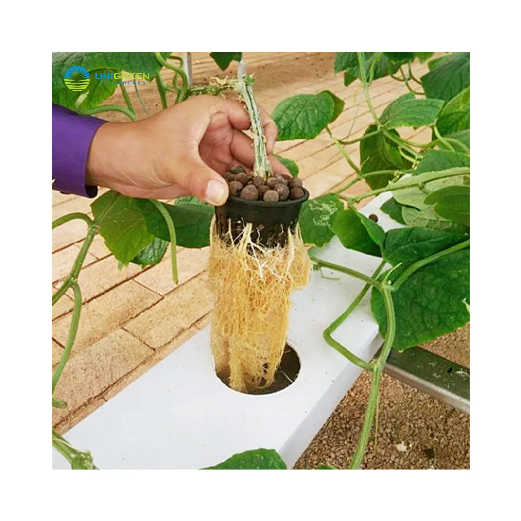 Hydroponic Nft Channel 100*50mm Plastic NFT Channel System For Lettuce Strawberry  Pumpkins Planting Hydroponics Nft Channel