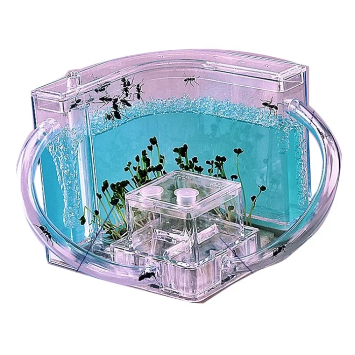 LED Light Ant Farm Castle Unisex Educational Toy for Home & School Science Learning Kit to Study Insect Behavior