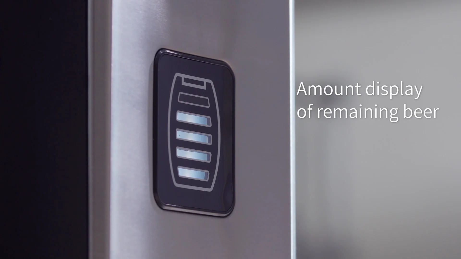 Mini Keg Detachable Aluminum Regulator and Tap Spear Easy Storage Black Matte Powder Coated Pressurized Homebrew Beer Dispenser