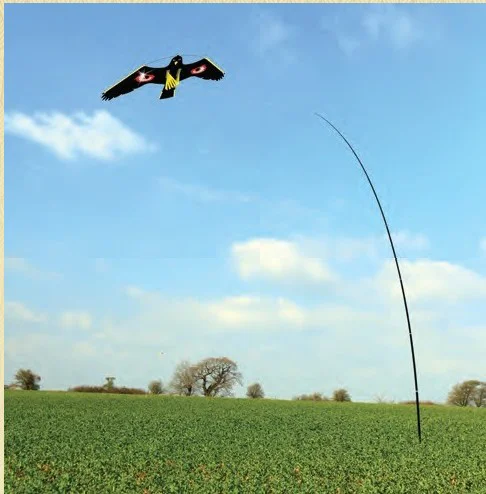 Qiao Liang Chinese scaring bird hawk kite Bird Scarer Repeller Hawk Kite Bird Scarer Farmer