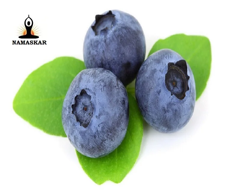 blueberry fresh  fruit from Peru wholesale supplier