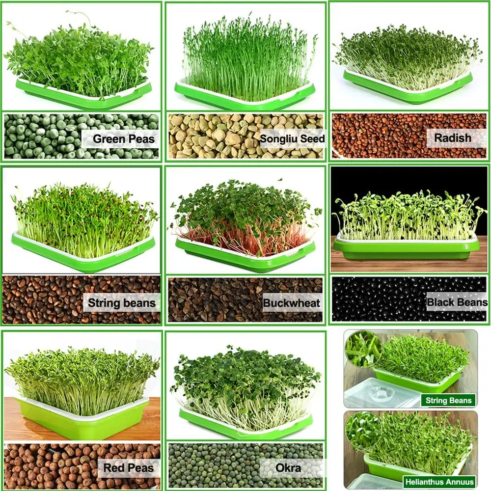 Лидер продаж Четырехслойный Набор для выращивания растений Microgreen Superfood с высококачественной стойкой