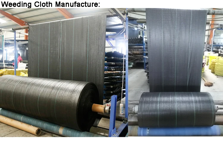 High speed 8 Shuttles  Circular loom Knitting Machine