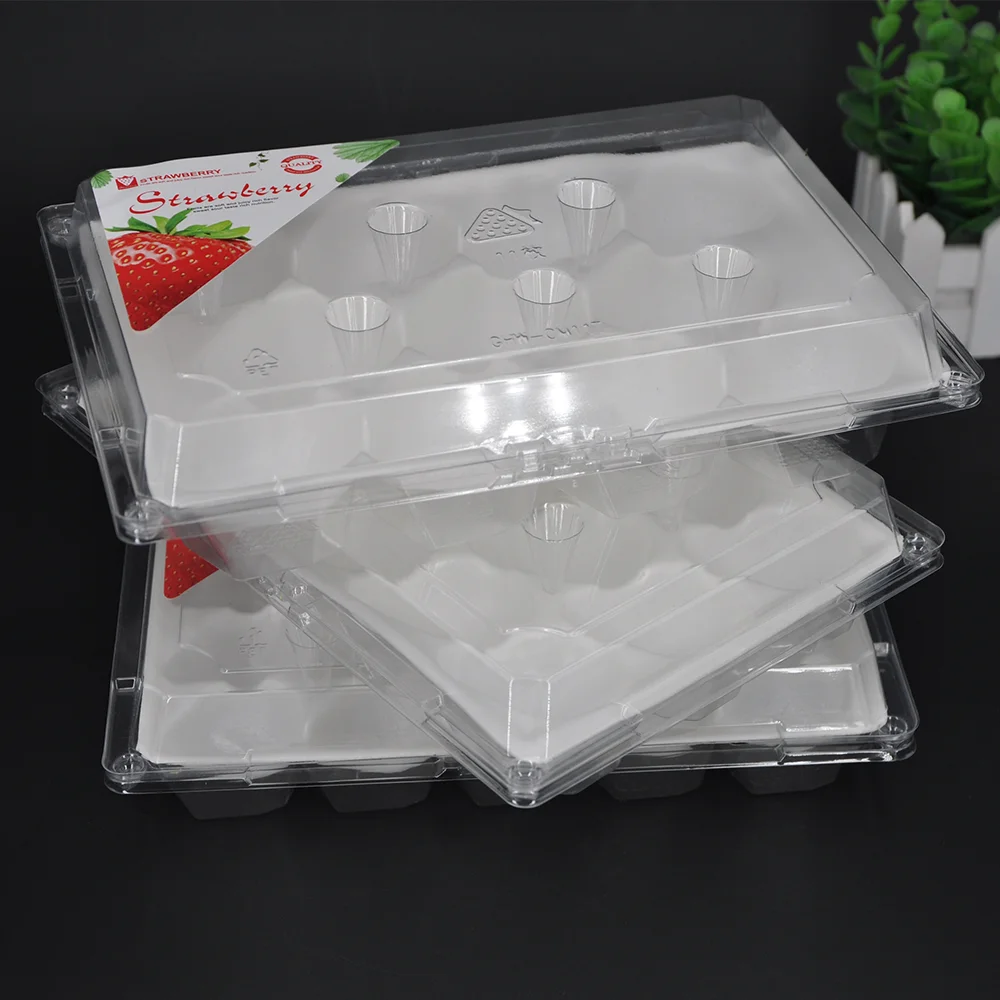 15 holes Fresh Fruit Storage Container Clear Disposable Plastic Fruit Packaging Box For Strawberry