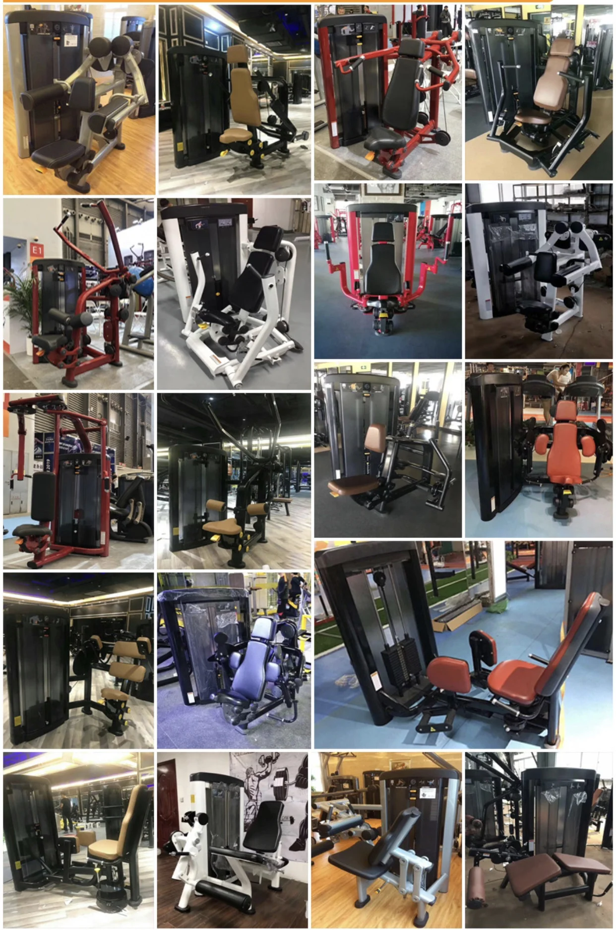 Commercial Home life fitness hammer seated back extension training Equipment Manufacturer wholesale hot sale fitness equipment