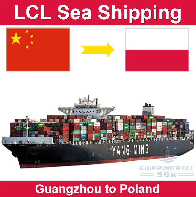 LCL From Shenzhen Guangzhou Shanghai Ningbo China to Poland Sea Freight Shipping by Door to Door and Customs Clearance Services
