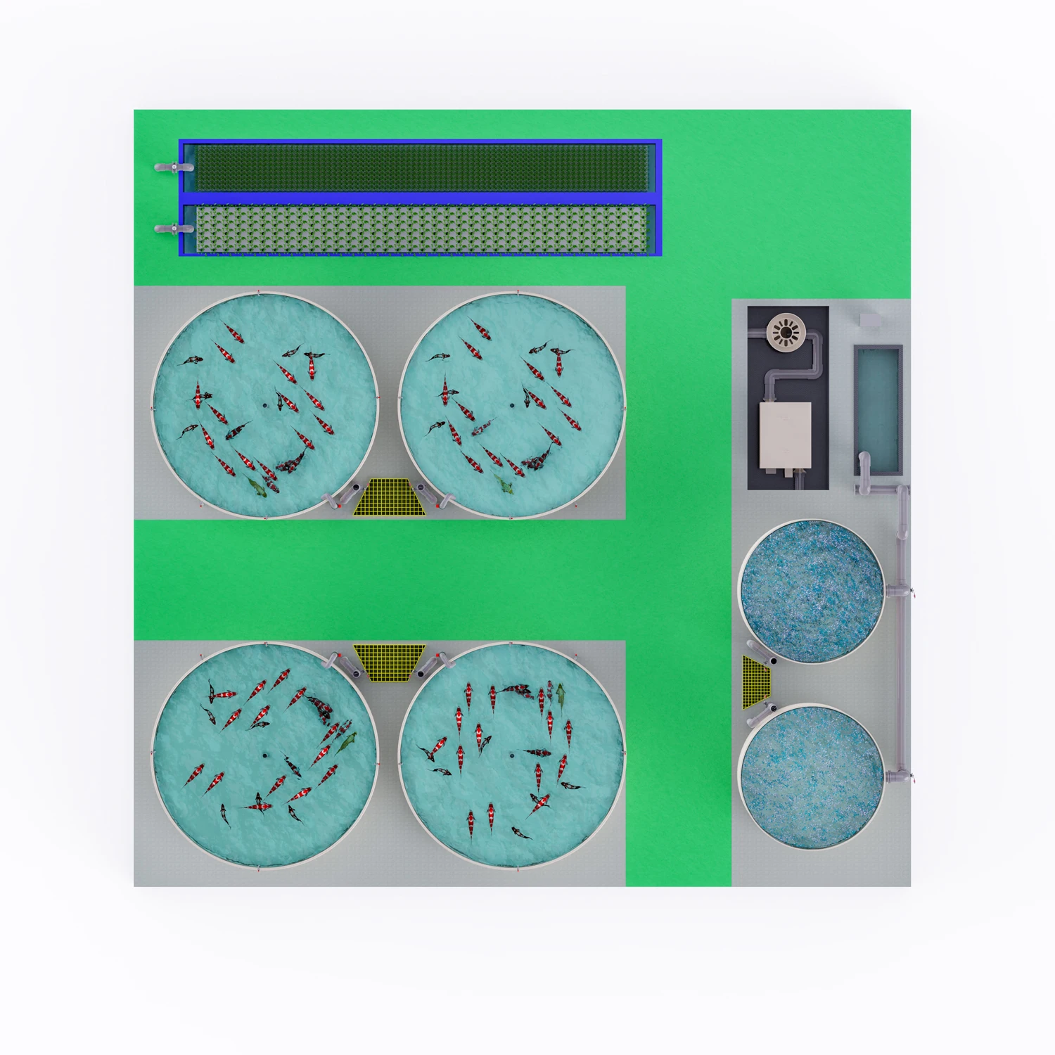 Aquaculture Equipment for Circulating Water Culture Fish Paragenesis Filter and Drum Filter with Protein Skimmer