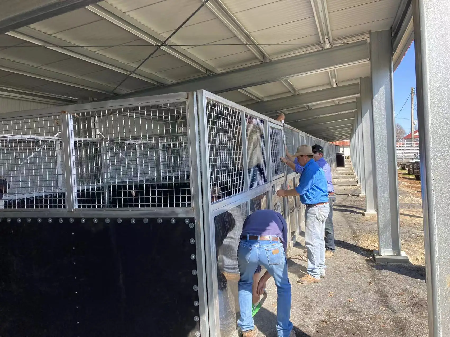 New 2.2m High x 3.6m Long x 3.6m Wide Full PE Sheet Portable Horse Stable And Horse Stall For Horse Yard