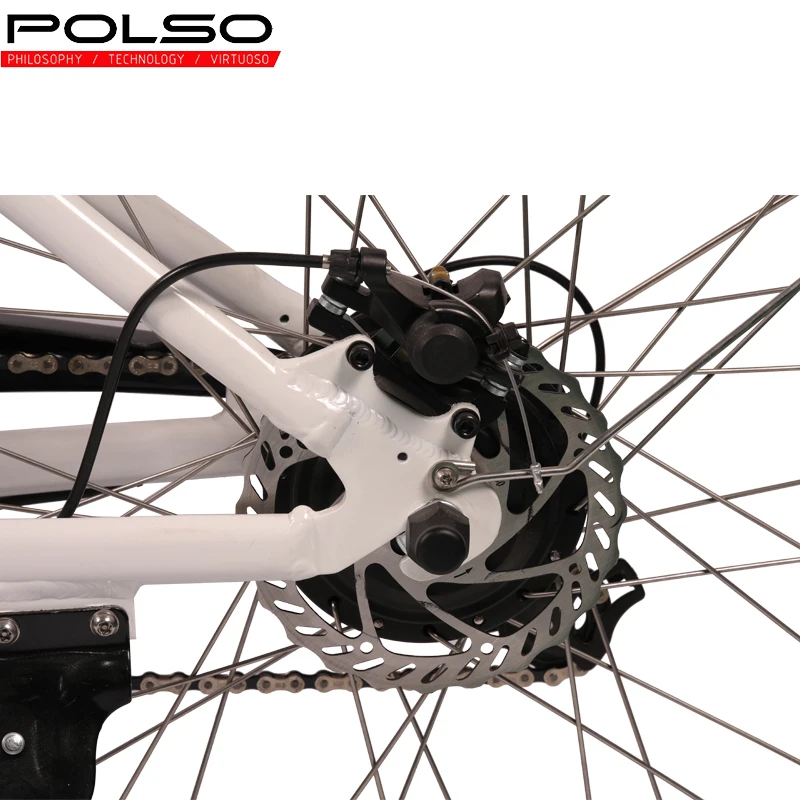 CB001 Customized LED Display City Sharing Electric Bicycle Ebike Electronic Lithium Battery Electric Bicycle Rear Hub Motor 36V