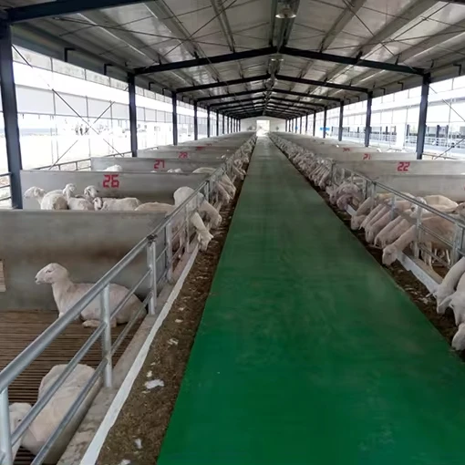 Sheep Headlock Goat Farming House Design Goat Shelter Dairy Farm Goat Cage Farm Sheep Headlock