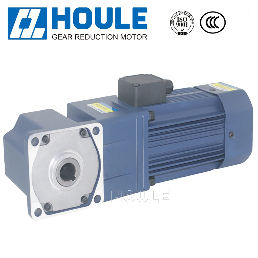 Houle AC/DC 25W ~400W  gear motor F1 type reducer low noise  variable speed motor with speed controller gear motor