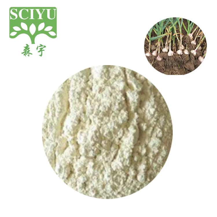 Food Grade Garlic dried Powder with 1% 5%  Allicin
