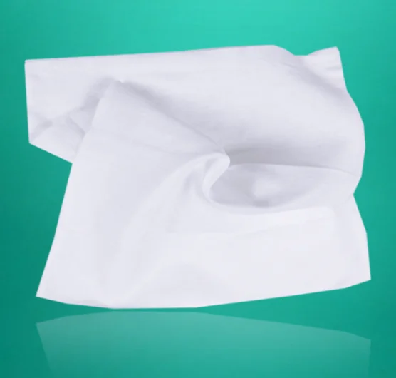 Hot Sale 100pcs Thickening Large Size Aloe Essence Gentle No stimulation Pet Wet Wipes