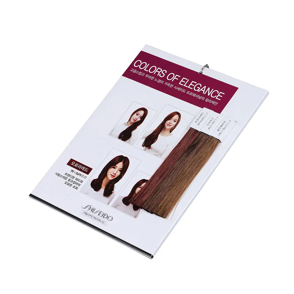 Best Selling Professional OEM Cosmetics Hair Dye Shade Swatch Book Hair Color Chart for Salon