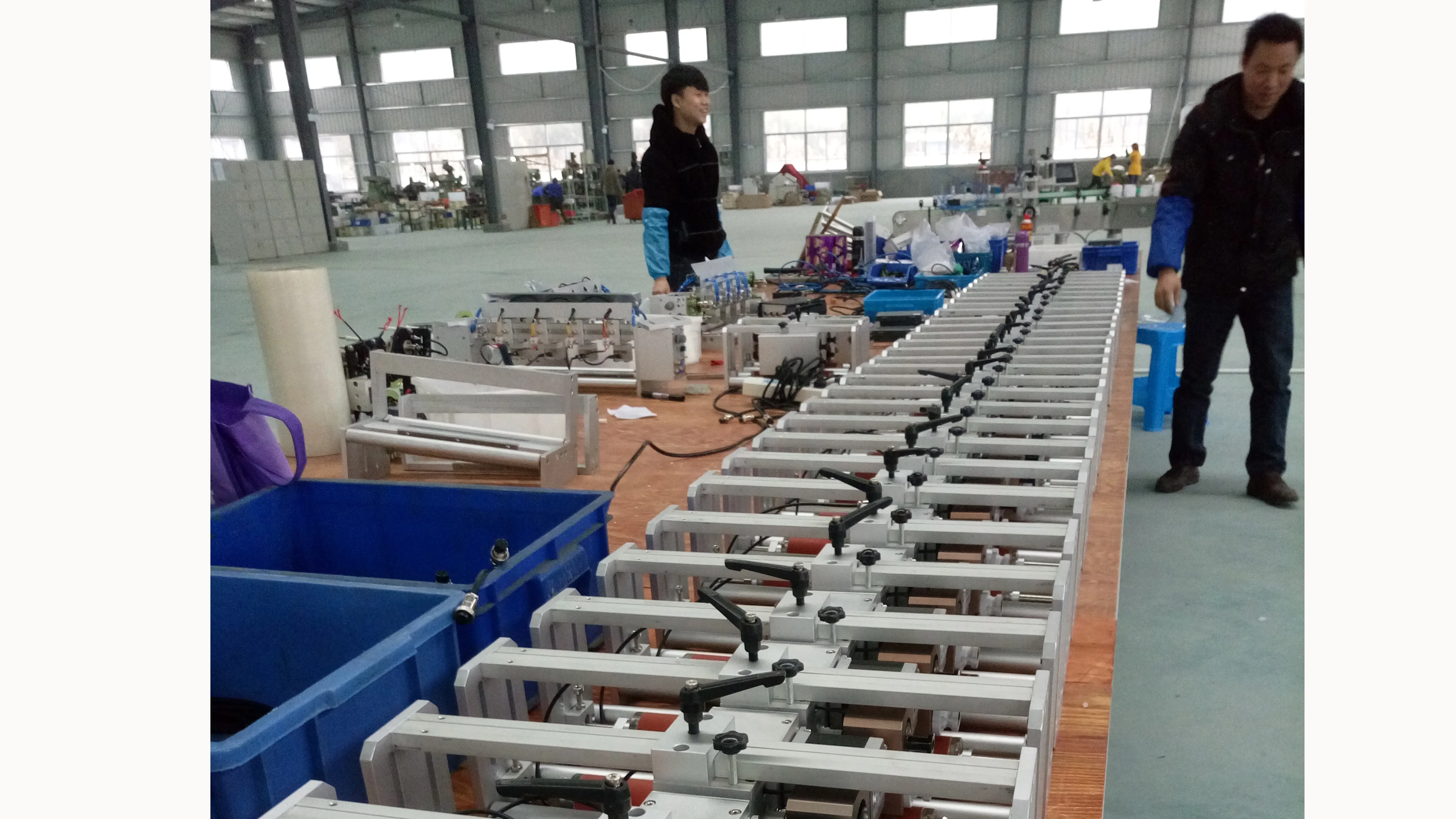 NY-808 Hot Ink Roll Expiry Date Stamp Coding Machine For Packaging Machine