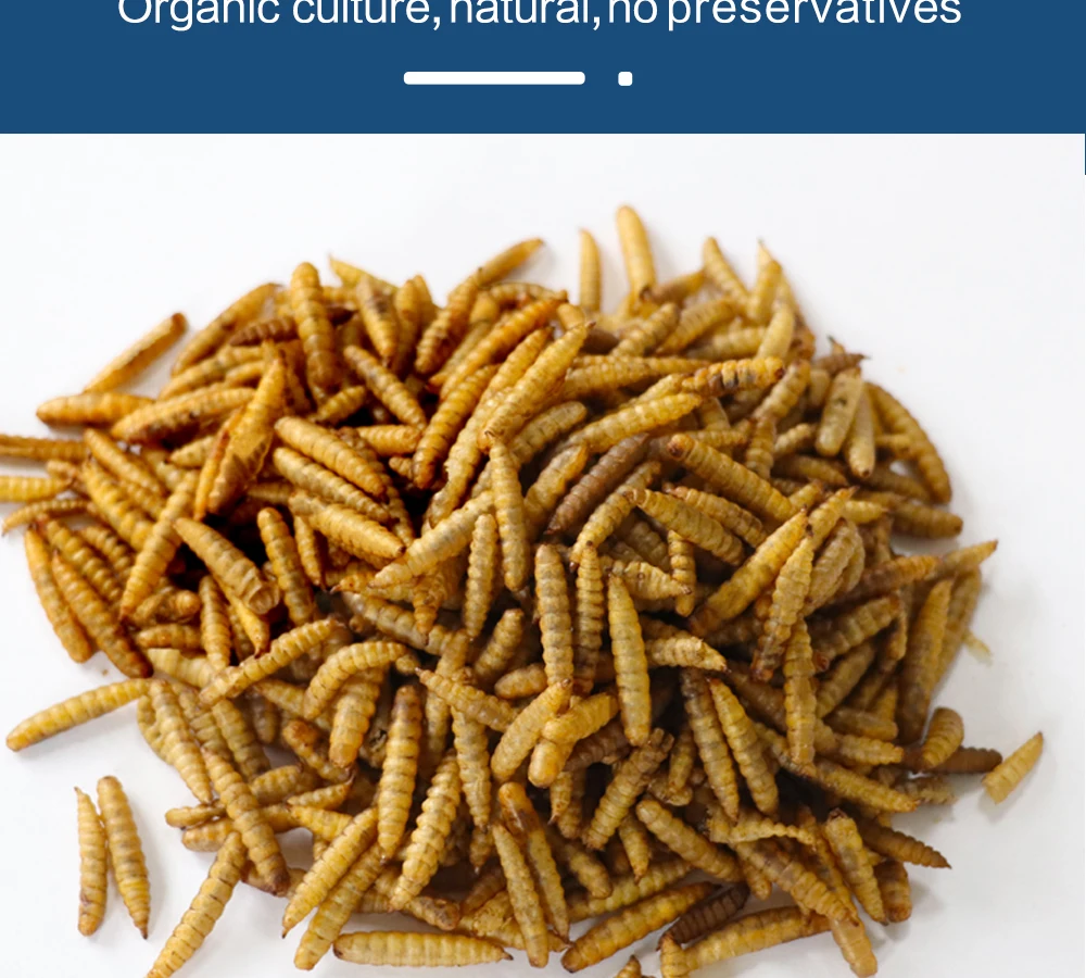 Janio New Product Wren Nourishing and Fattening Bird Feed