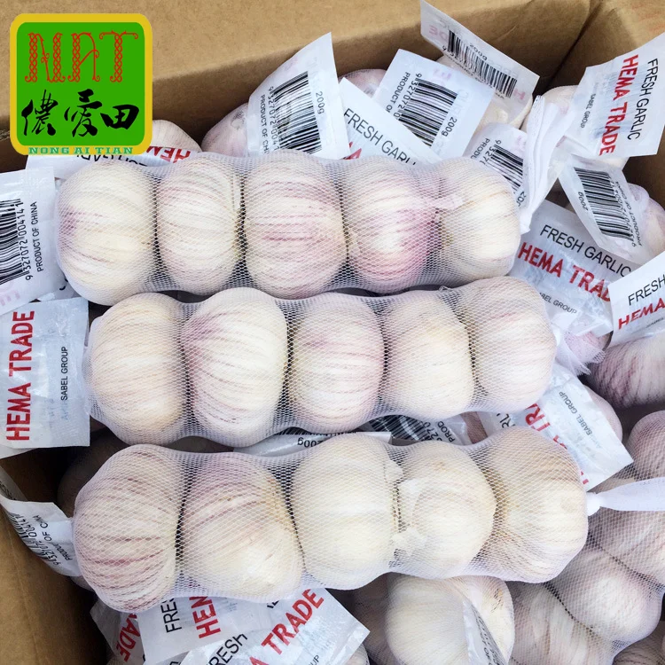 Hot Sale fresh white garlic in bulk super 4-7cm normal white Cheap Price natural white 5.0cm 2kgx10/carton for Wholesale