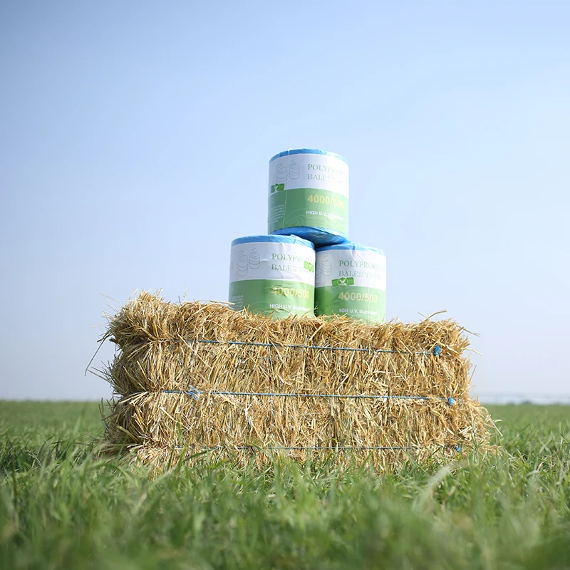 Agriculture packaging High Density Hay Baler Twine for round square baler machinery