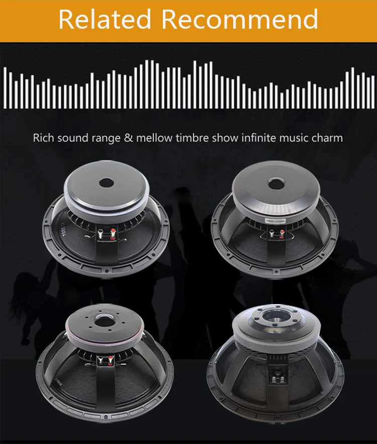 Home Subwoofer