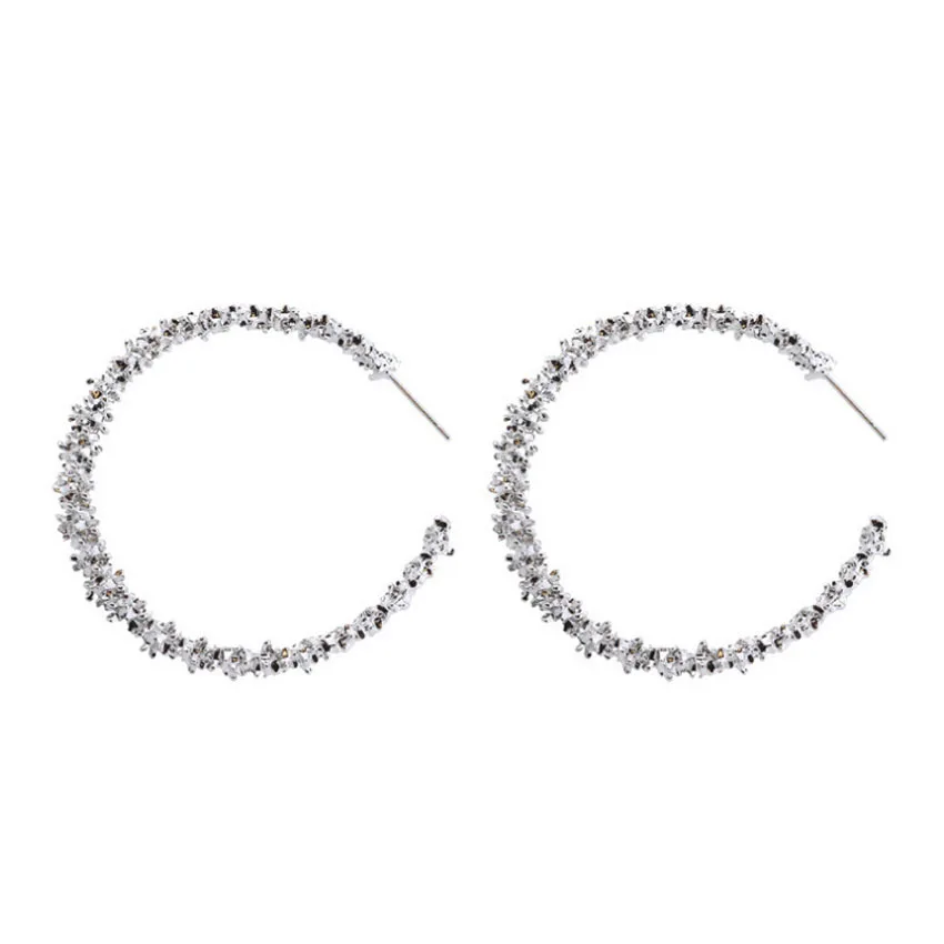 Wholesale  Best Selling Fashion Fancy Hoop Earrings Big Round Circle Personalized Unique Women Ear Ring Earrings
