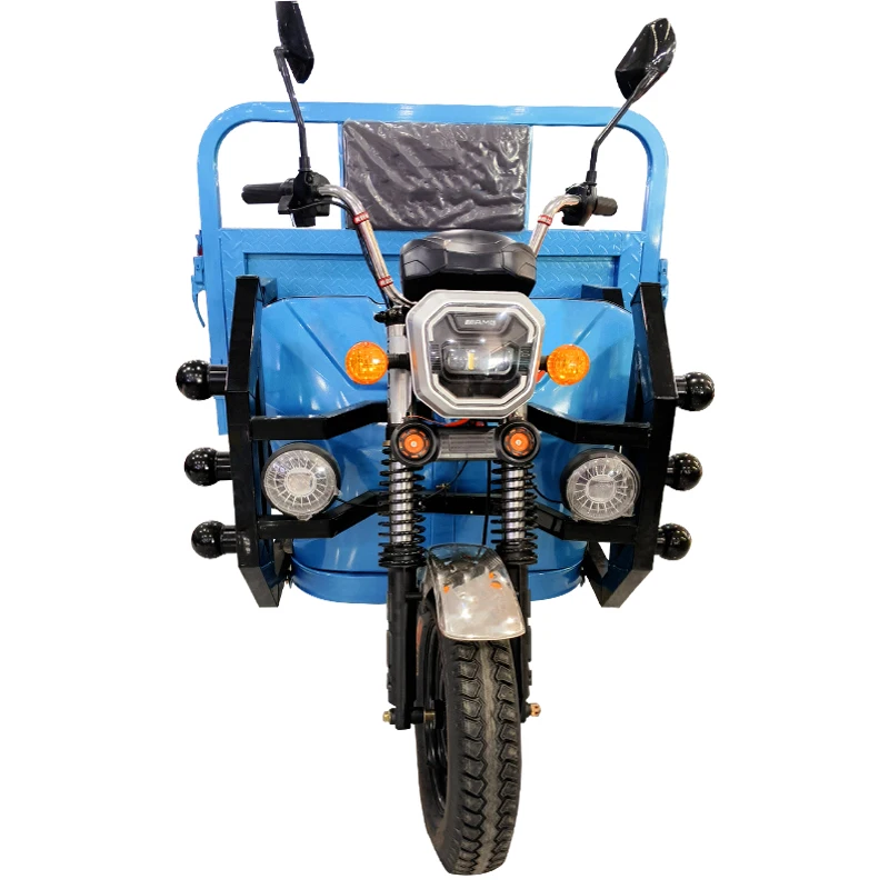 Automatic Reverse Electric Tricycle Ce 60V 1000w Cargo Electric Tricycle for Adult 2 Battery