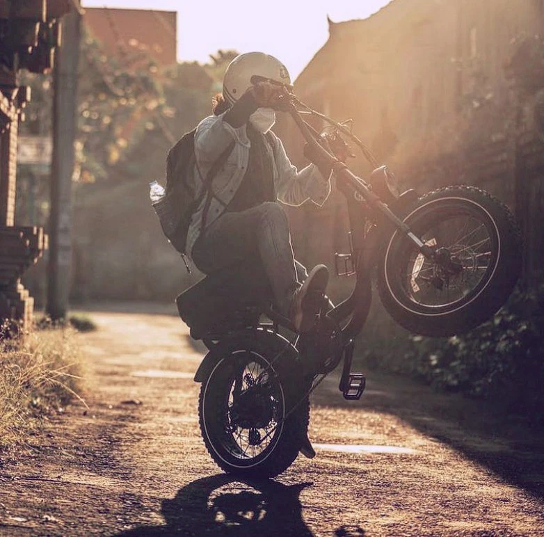 20 Inches Electric Fatbikes Buy From EU USA Warehouse Electric Fat Bike for Adults Shijin ATV07 Fat Tire Electric City Bicycles