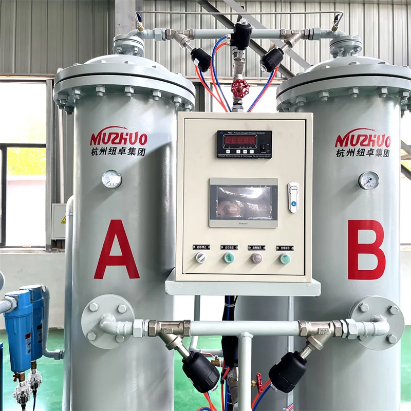 NUZHUO Chinese Factory Manufacture Nitrogen Gas Generating Plant Competitive Price N2 Making Device