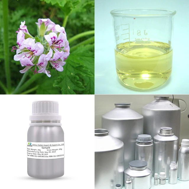 Pure Geranium Essential Oil 100% Pure & Natural Geranium Oil At Wholesale Price