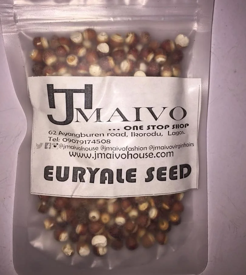 Семена Европейской Горгоны