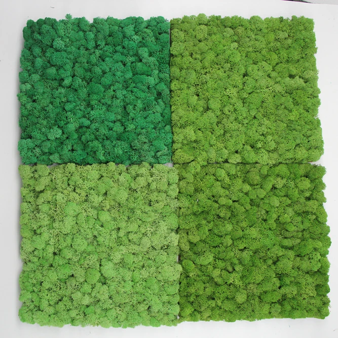 Christmas Wall Decor Preserved Stabilized Reindeer Moss Panel real natural moss wall panel