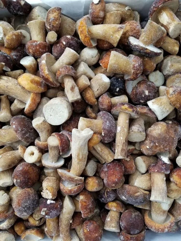 Factory Price Premium Quality Bulk Frozen Boletus Edulis Whole 2-4CM