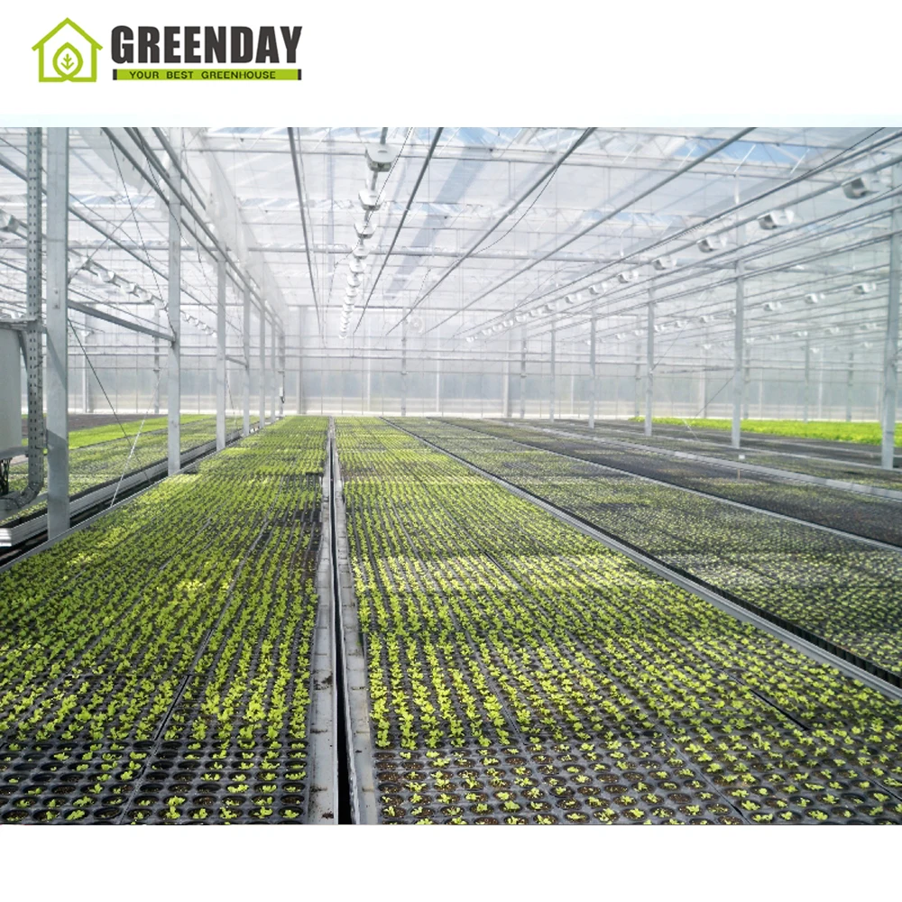 
GREENDAY Long life modular greenhouse hydroponic rockwool cube for agriculture 