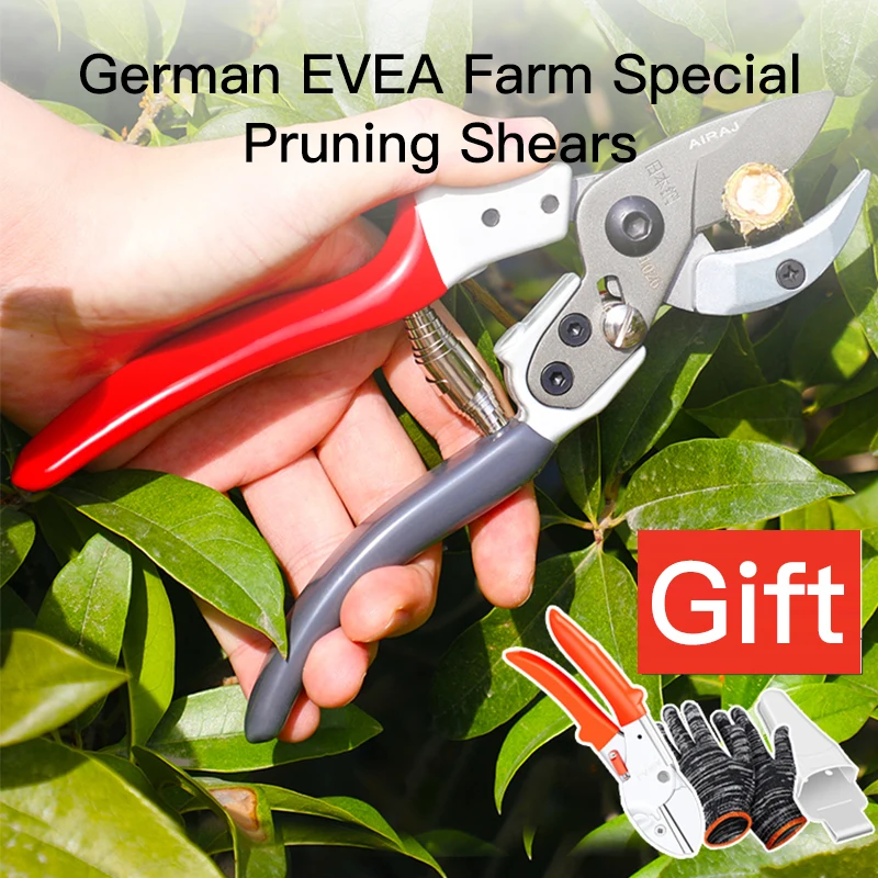 Low Price Japanese Scissors Cut Branch Pruning Fruit Tree Flower Cut Garden Gardening Pruning Shears