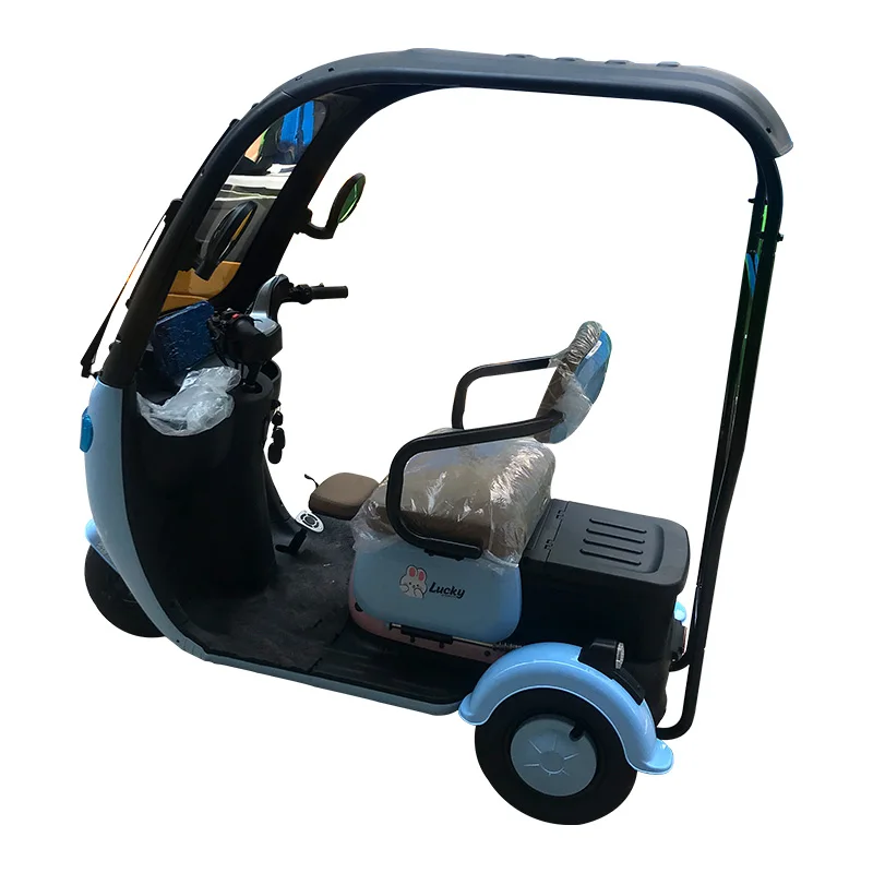2024 New Design 3 wheel electric motorcycle 800W Electric Trike 48V 60W20Ah Open Body Electric Tricycle for Adults Bike Use
