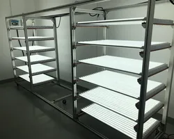 50000 hours long lifespan 1200mm 18W T8 led tube light