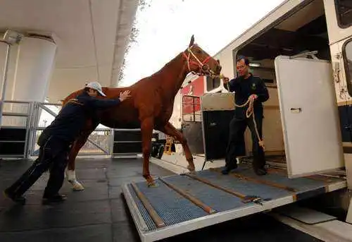 2024 4 Horses Gooseneck Float Trailer with Living Box Horse Loading Transportation Vehicle support Customization