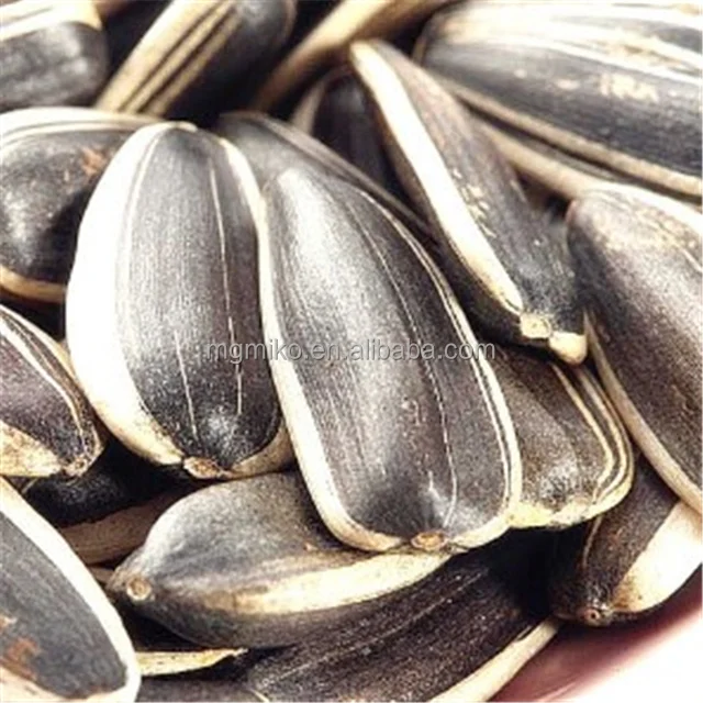 Black sunflower seeds 363/361 Chinese supplier Export