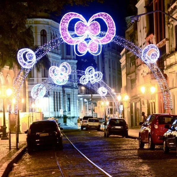 Outdoor Christmas Animated Decorations 2D 3D LED Street Motif Bear Deer Butterfly Lighted Arch For Street Zoo Park Light Show