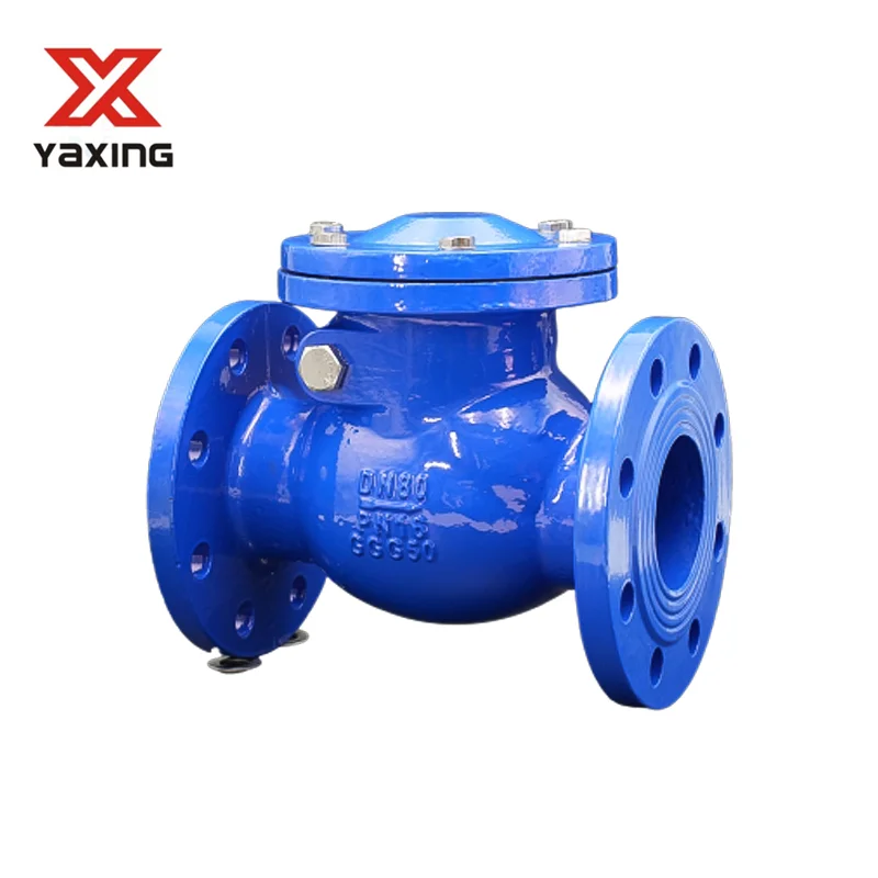 Dn100 4 Inch Pn16 Double Flange Type Cast Iron Non-return Swing Check Valve