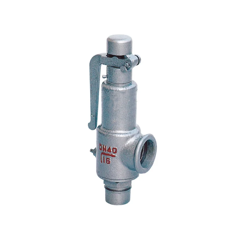 Pressure Relief Valves Cast Iron Spring Loaded Full Lift Air Water Steam Boiler thread Safety Valve