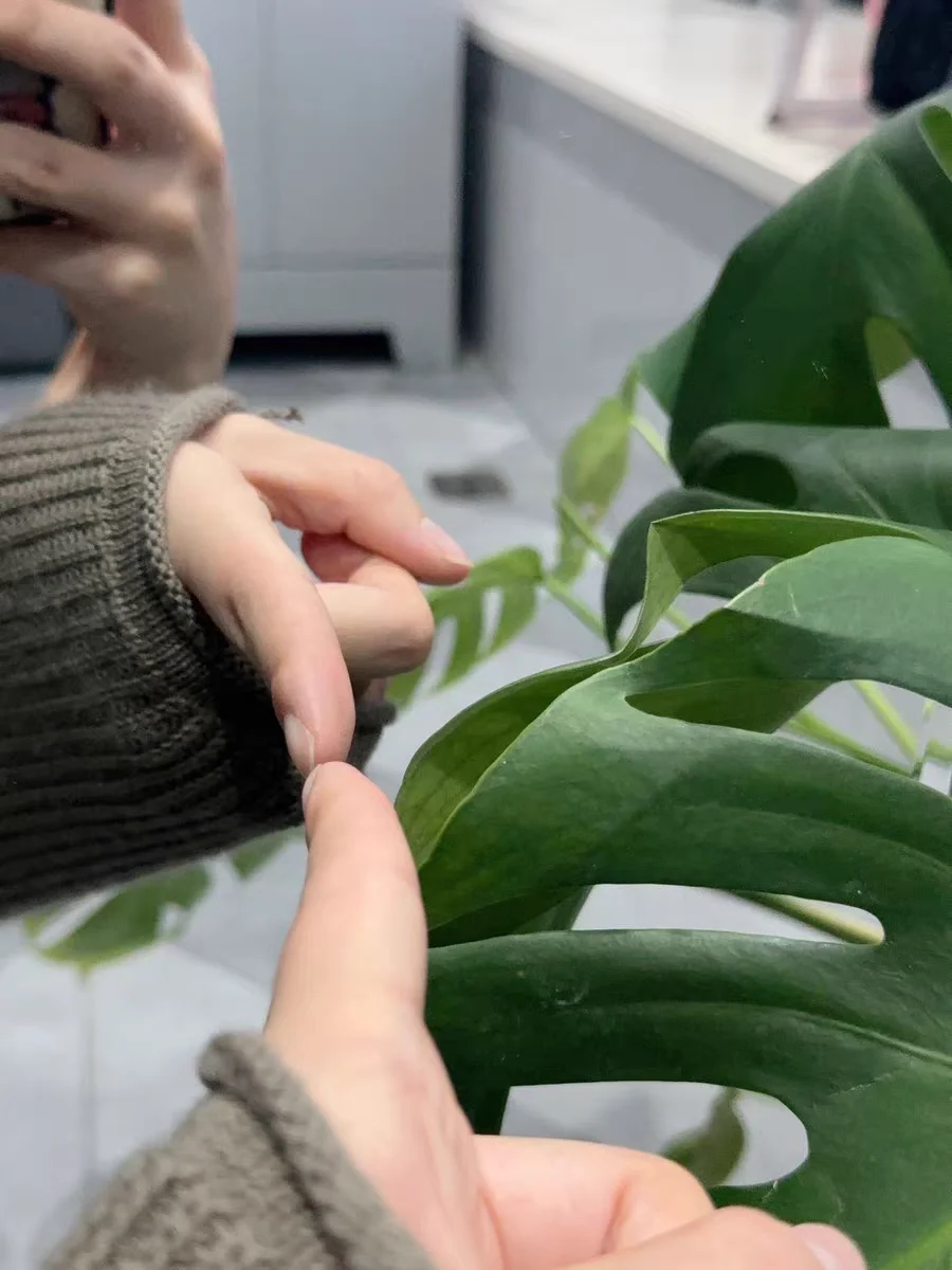 Factory Wholesales Rectangle Full-length Bedroom Bathroom Decorative Plastic Multipurpose Wall Mirror Customized Acrylic mirror