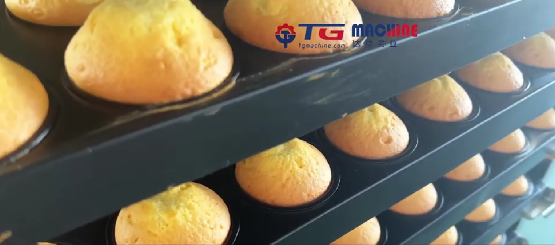 High Speed Production  Cut Cookie and Cupcake Making Machine  with Multiple Function
