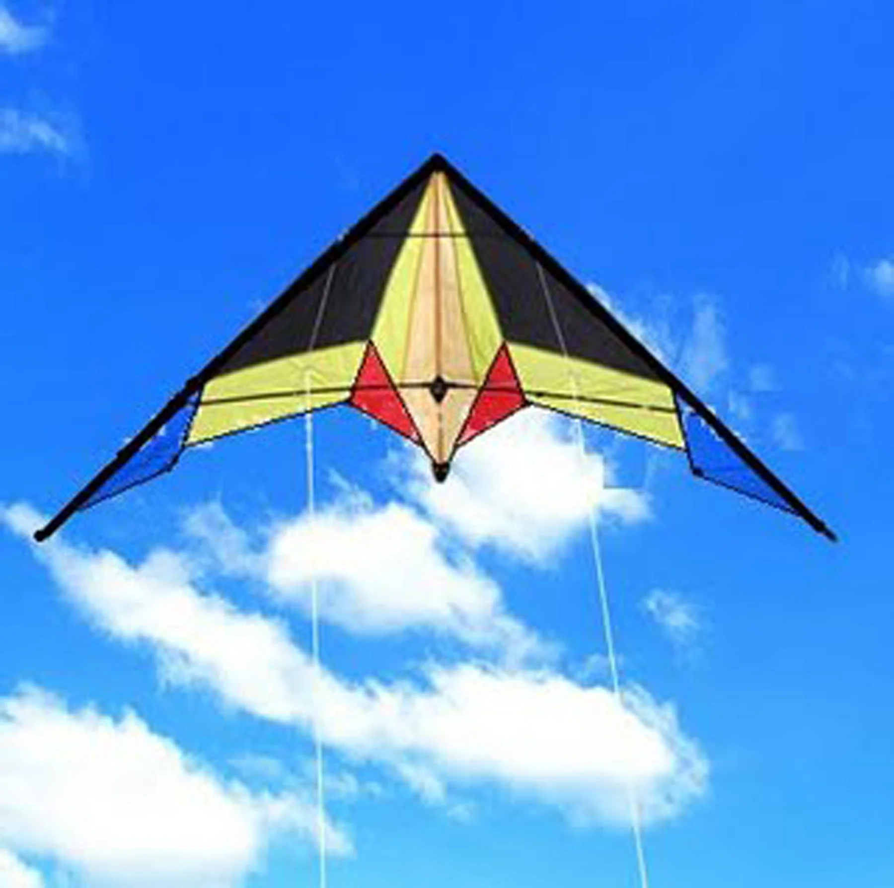 2021 hot sale High Quality delta stunt kite